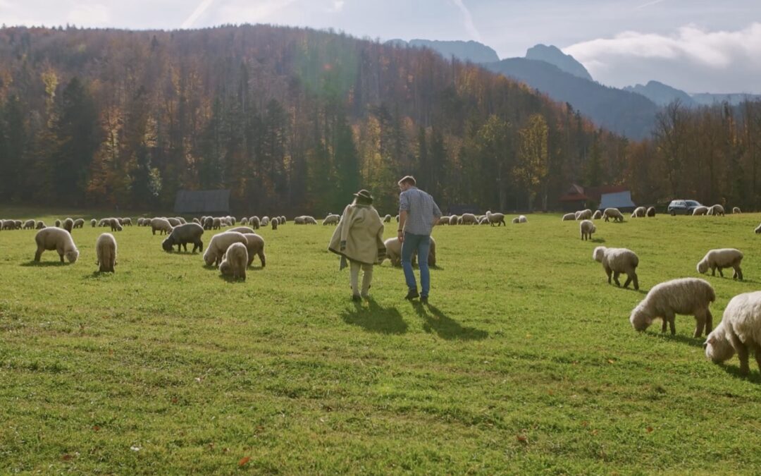 Poland. Discover Your Roots